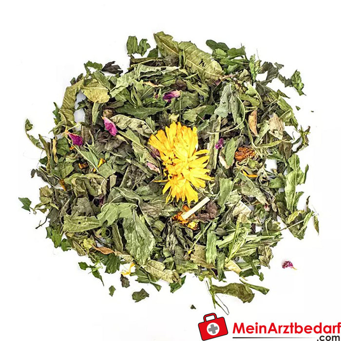 Organiczna herbata sypana Mystic Witch Tea firmy Sonnentor