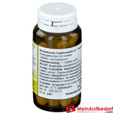 Biochemie 7 Magnesium phosphoricum D 6 Tabletten.