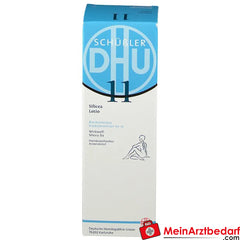 DHU Biochemie 11 Silicea D 4.