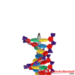 Erler-Zimmer DNA Doppelhelix.