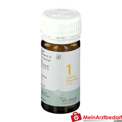 Biochemie Pflüger® Nr. 1 Calcium fluoratum D12 Tabletten.
