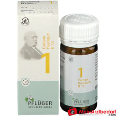 Biochemie Pflüger® Nr. 1 Calcium fluoratum D12 Tabletten.