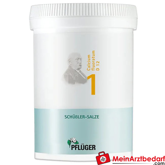 Biochemie Pflüger® No. 1 Calcium fluoratum D12 Tabletki