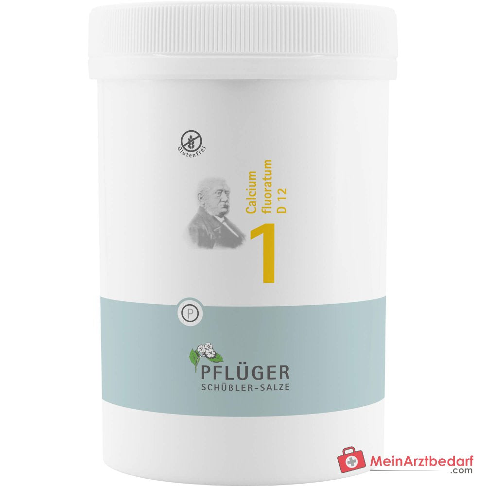 Pflüger Biochemie Nr. 1 Calcium fluoratum D12 250 mg Tabletten
