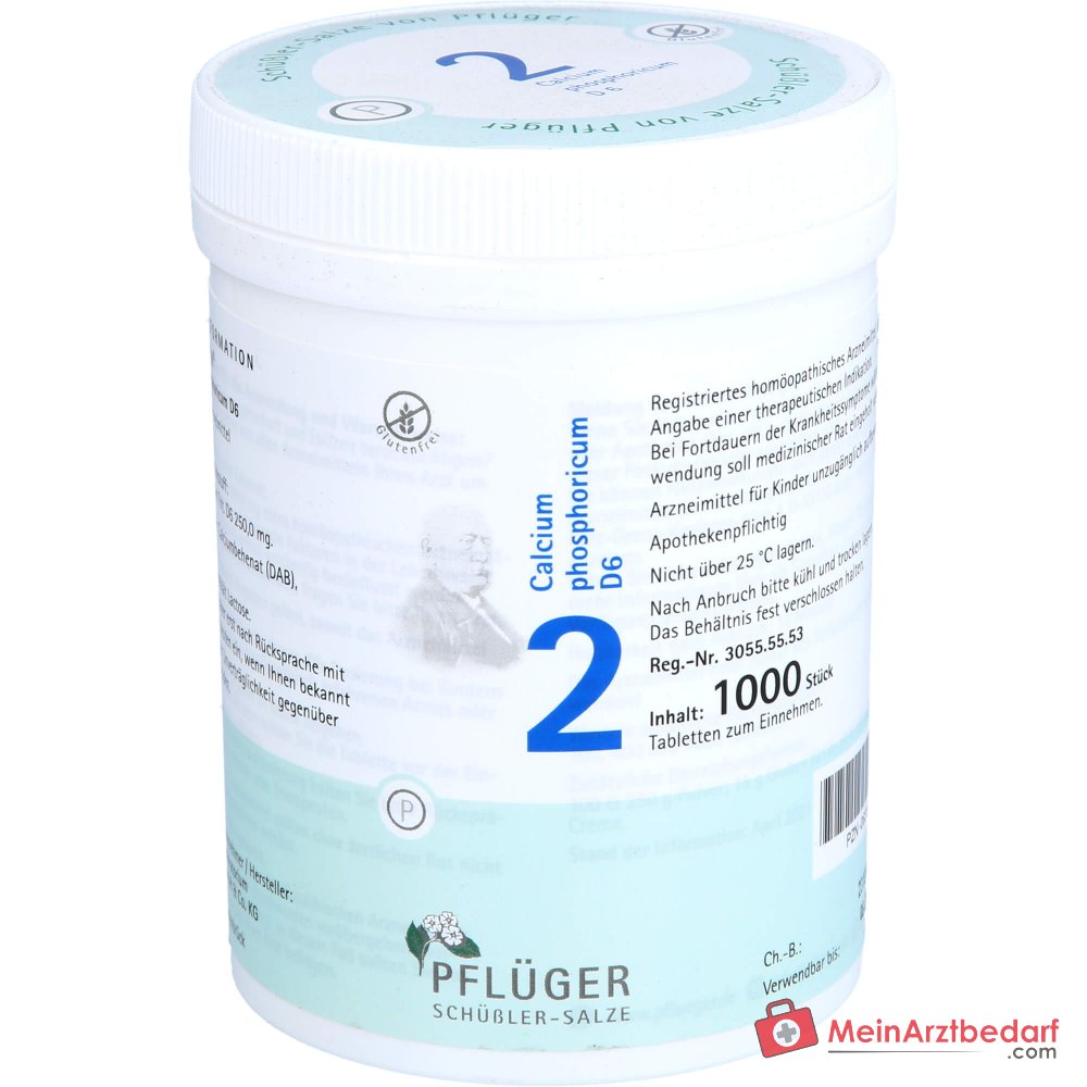 Pflüger Biochemia Nr 2 Calcium phosphoricum D6 Tabletki, 100 szt.