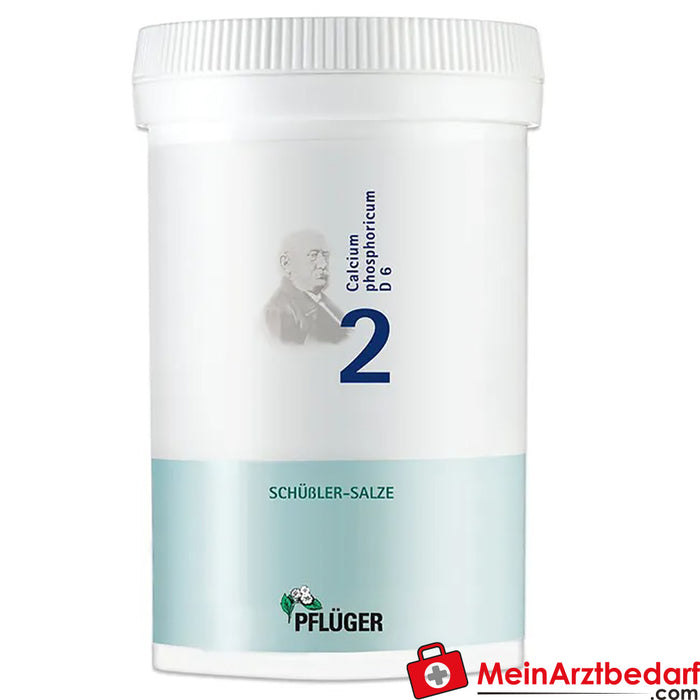 Biochemie Pflüger® No. 2 Calcium phosphoricum D6 Tabletki