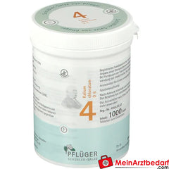 Biochemie Pflüger® Nr. 4 Kalium chloratum D6 Tabletten.