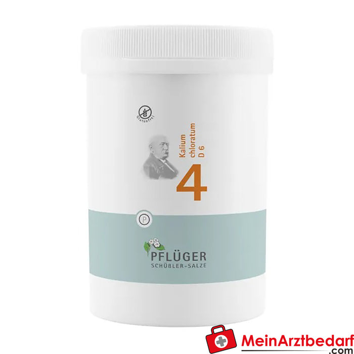 Biochemie Pflüger® No. 4 Potassium chloratum D6 Tablets