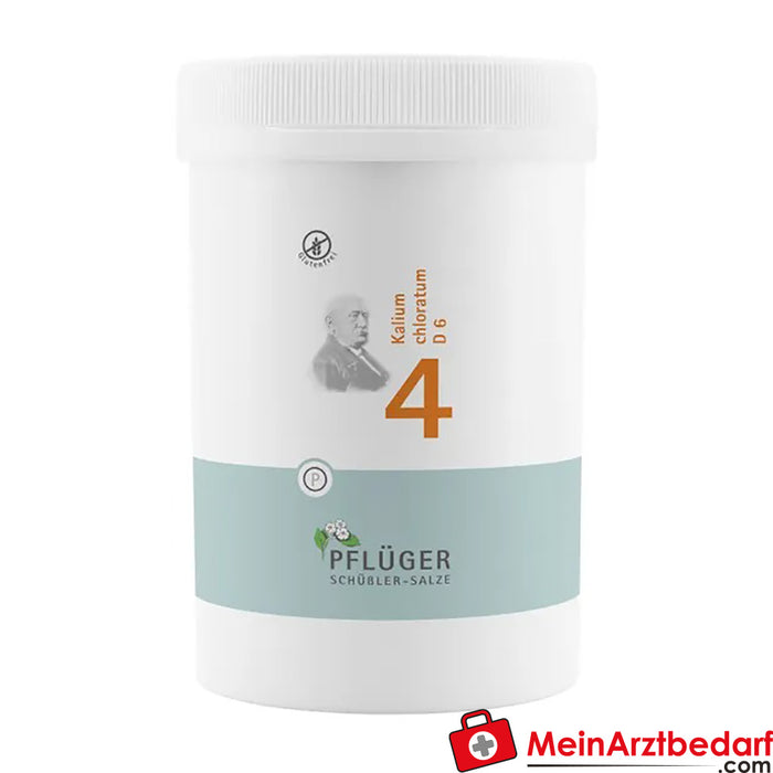 Biochemie Pflüger® No. 4 Potassium chloratum D6 Tabletki