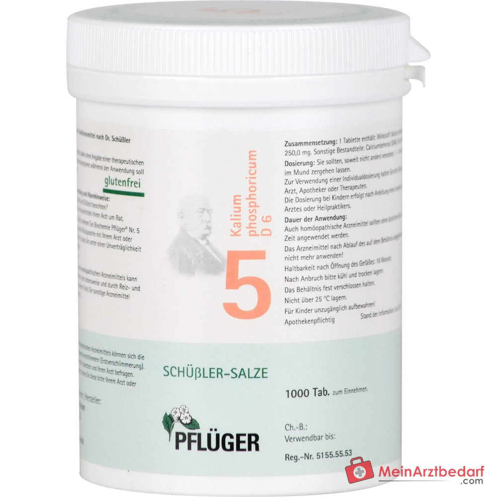Biochemie Pflüger Nr. 5 Kalium phosphoricum D6 Tabletki, 100 szt.