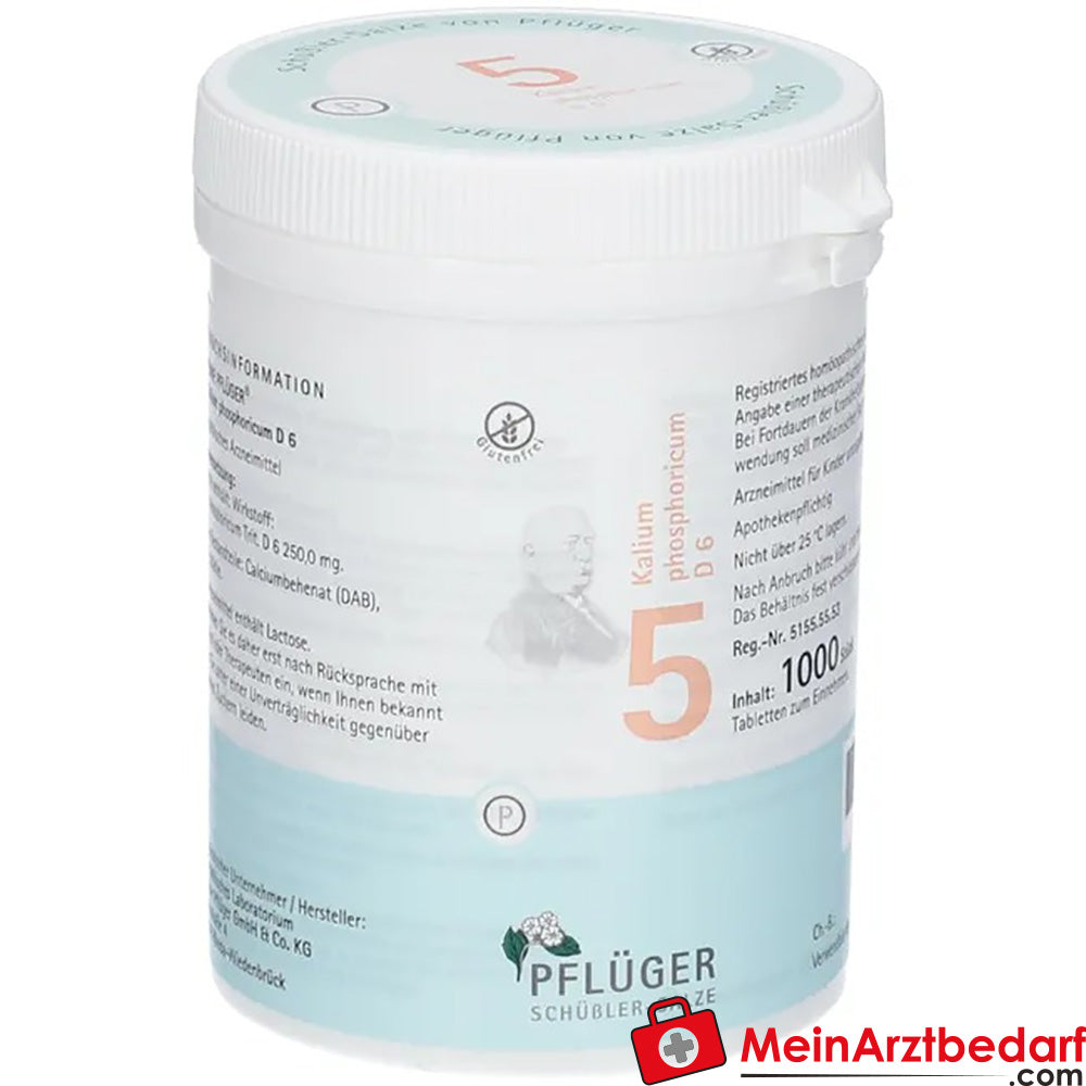 Biochemie Pflüger Nr. 5 Kalium phosphoricum D6 250 mg Tabletten