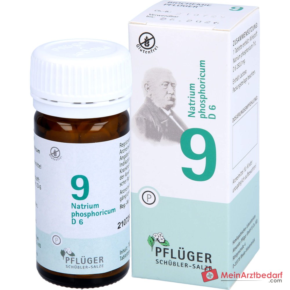 Biochemie Pflüger Nr. 9 Natrium phosphoricum D6 250 mg Tabletten 100 St