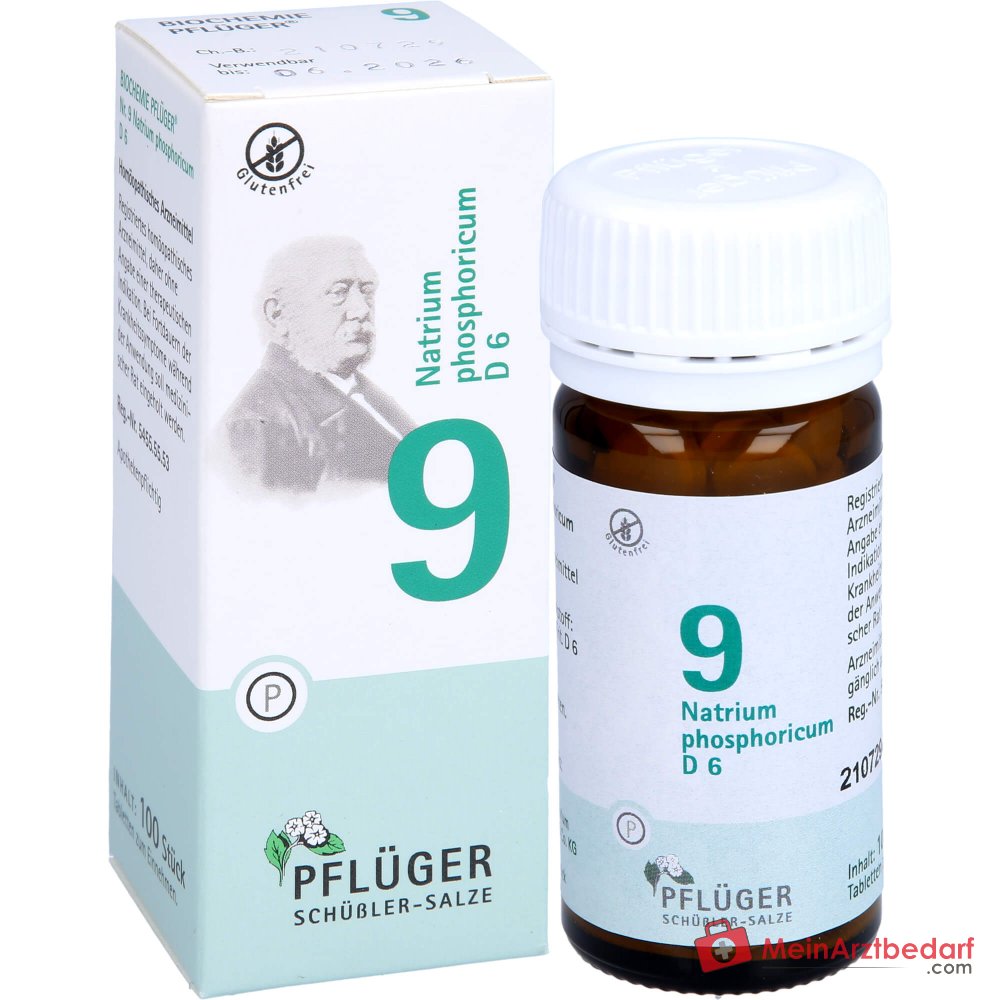 Biochemie Pflüger Nr. 9 Natrium phosphoricum D6 250 mg Tabletten 100 St