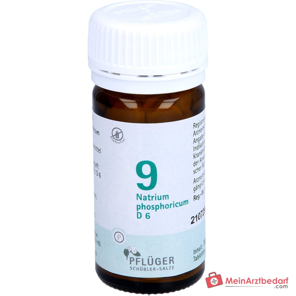Biochemie Pflüger Nr. 9 Natrium phosphoricum D6 250 mg Tabletten 100 St