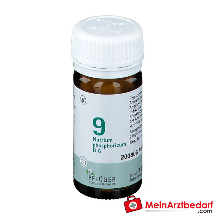 Biochemie Pflüger® 9 号磷 酸钠 D6 片剂