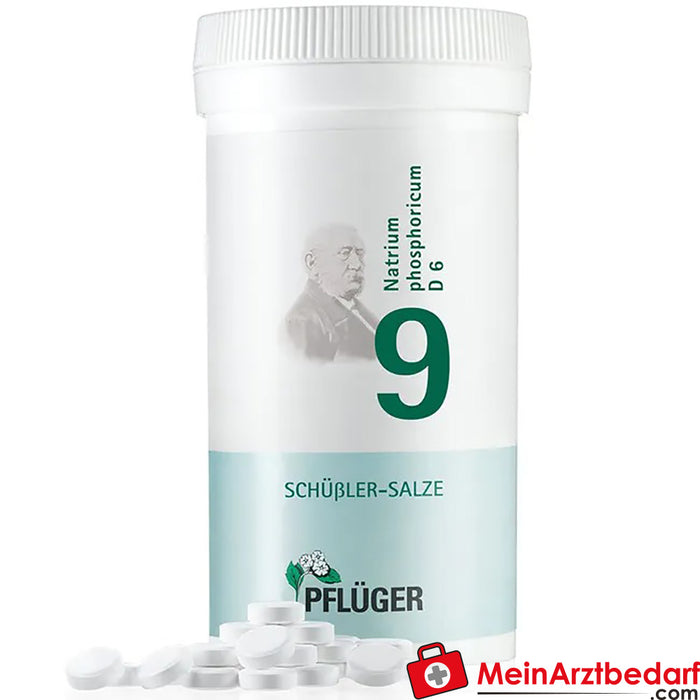 Biochemie Pflüger® 9 号磷 酸钠 D6 片剂