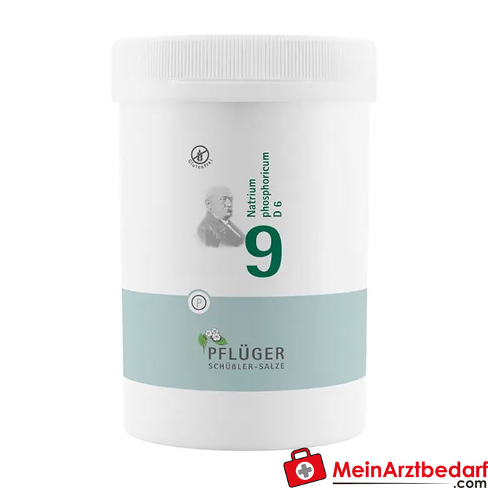 Biochemie Pflüger® N° 9 Natrium phosphoricum D6 Comprimés