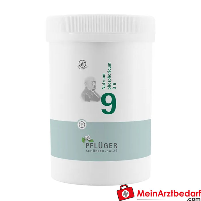 Biochemie Pflüger® 9 号磷 酸钠 D6 片剂
