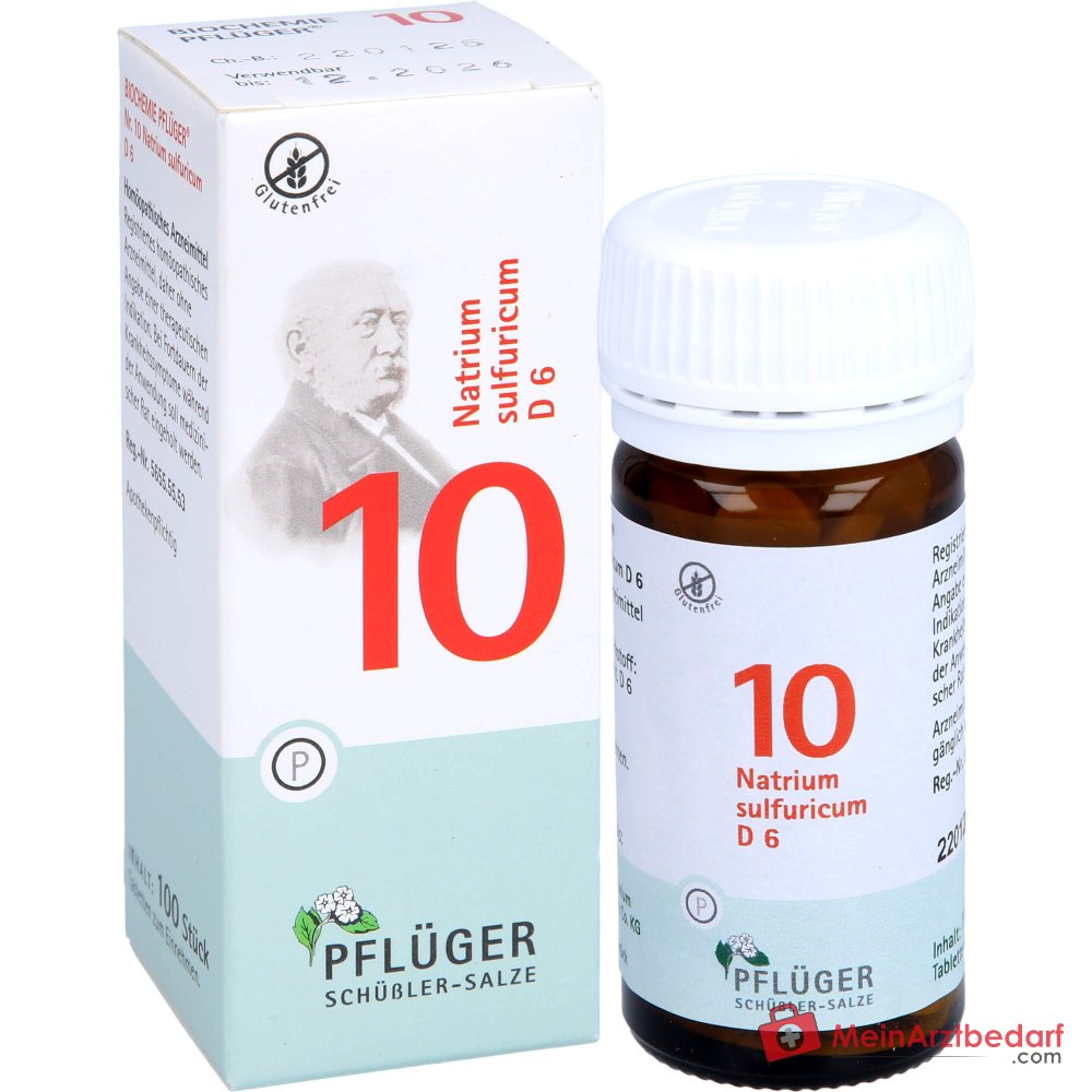 Biochemie Pflüger Nr. 10 Natrium sulfuricum D6 Tabletten Acidum silicicum D12 250 mg