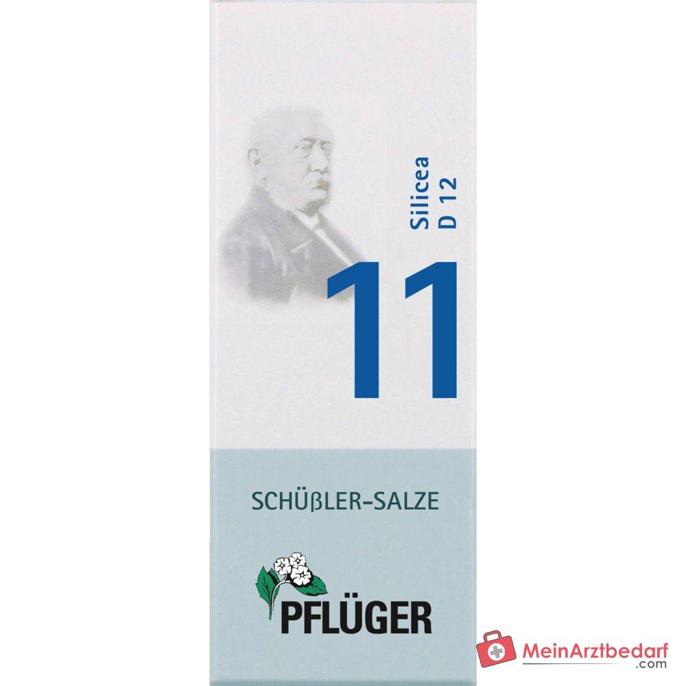 Biochemie Pflüger Nr. 11 Silicea Acidum silicicum D12 Tabletten, 100 St.
