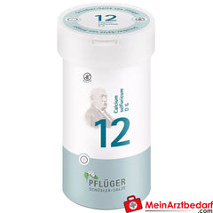 Biochemie Pflüger® Nr. 12 Calcium sulfuricum D6 Tabletten.