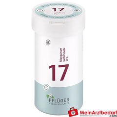 Biochemie Pflüger® Nr. 17 Manganum sulfuricum D6 Tabletten.