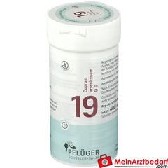 Biochemie Pflüger® Nr. 19 Cuprum arsenicosum D6 Tabletten.