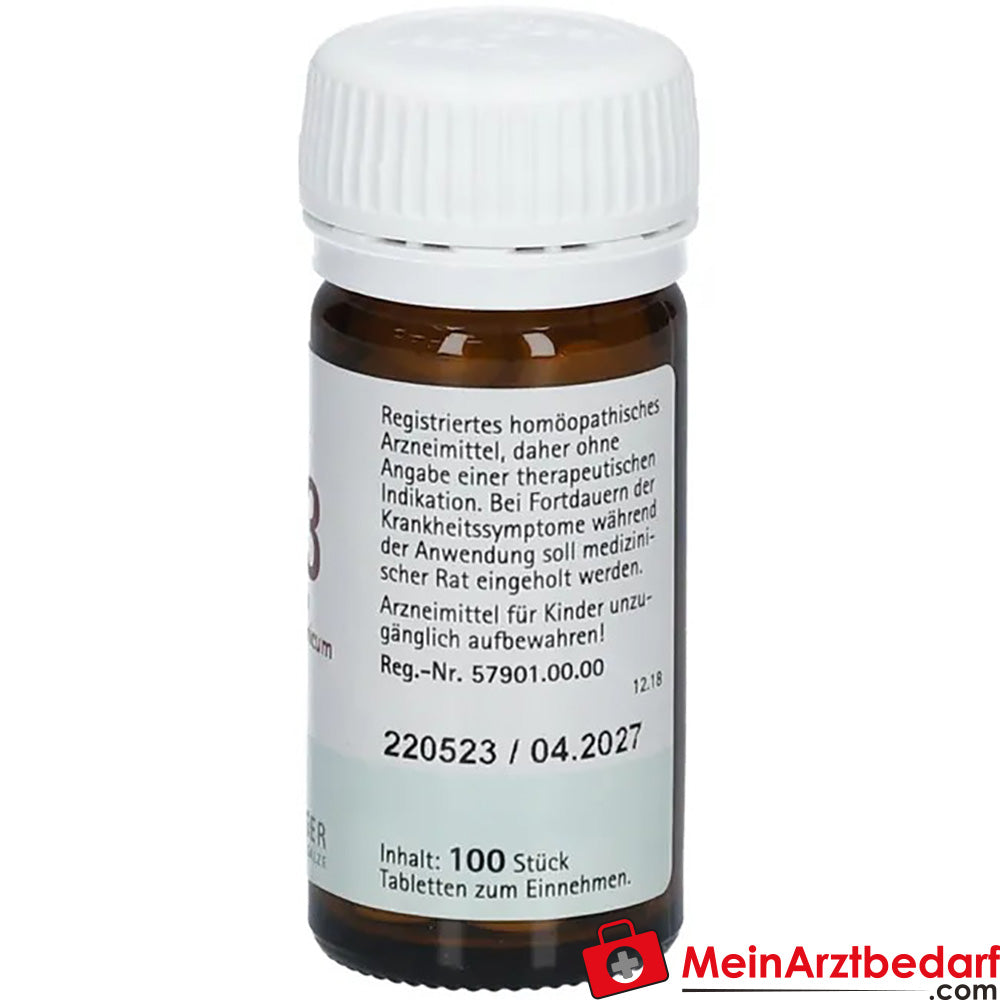 Biochemie Pflüger® Nr. 23 Natrium bicarbonicum D6 Tabletten.