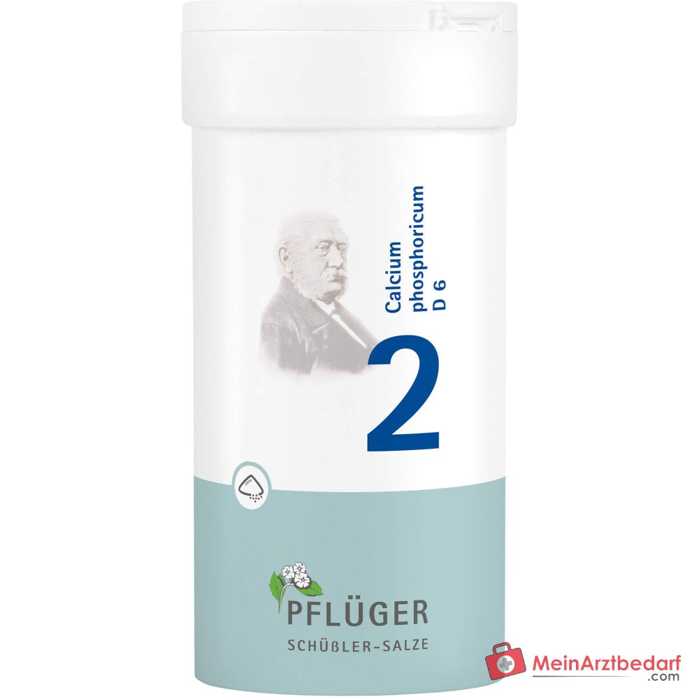 Biochemie Pflüger Nr. 2 Calcium phosphoricum D6 Pulver, 100 g