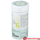 Biochemie Pflüger® Nr. 6 Kalium sulfuricum D6 Pulver.