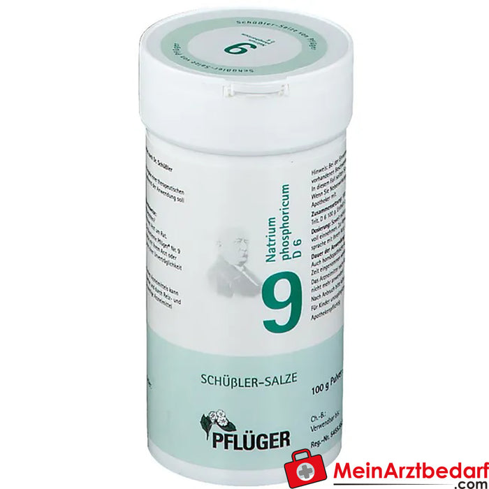 Biochemie Pflüger® No. 9 Natrium phosphoricum D6 Pó