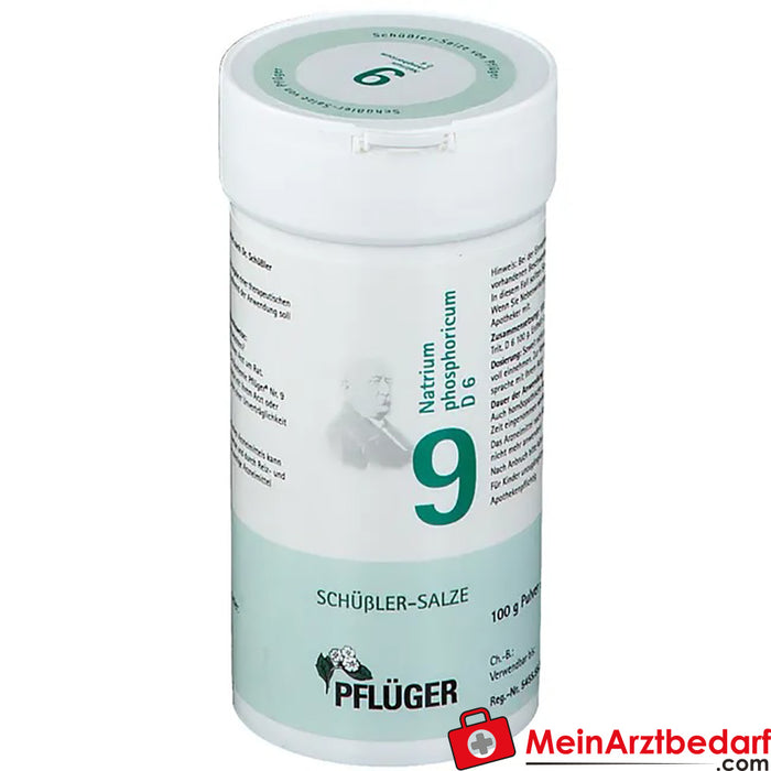 Biochemie Pflüger® No. 9 Natrium phosphoricum D6 in polvere