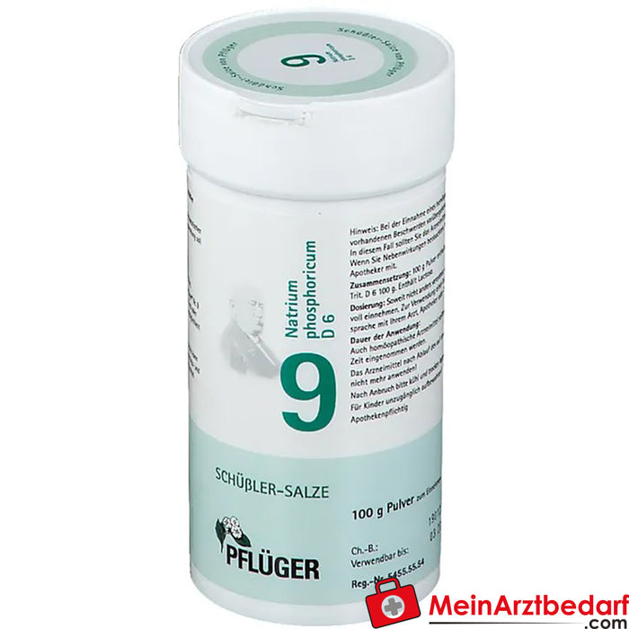 Biochemie Pflüger® No. 9 Natrium phosphoricum D6 Polvo