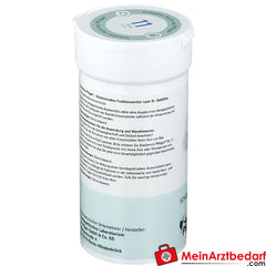 Biochemie Pflüger® Nr. 11 Silicea D12 Pulver.