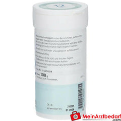 Biochemie Pflüger® Nr. 12 Calcium sulfuricum D6 Pulver.