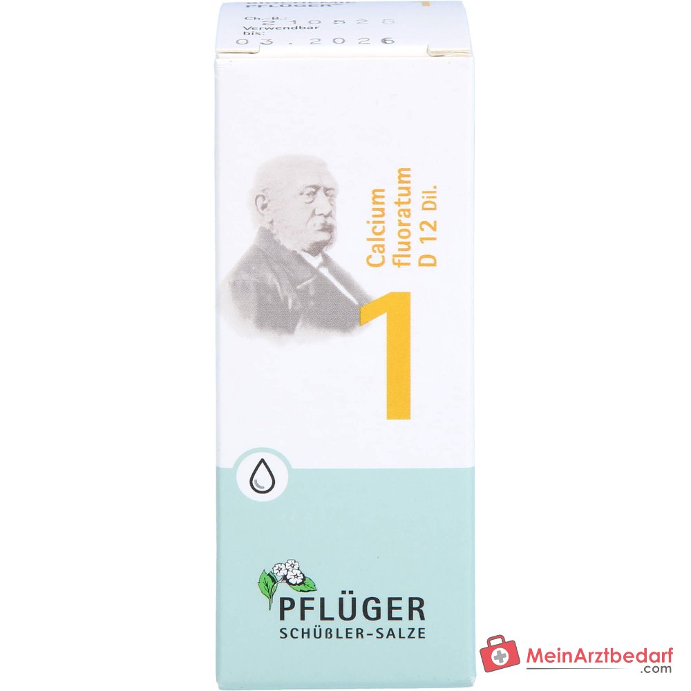 Biochemie Pflüger Nr. 1 Calcium fluoratum D12 druppels, 100 ml