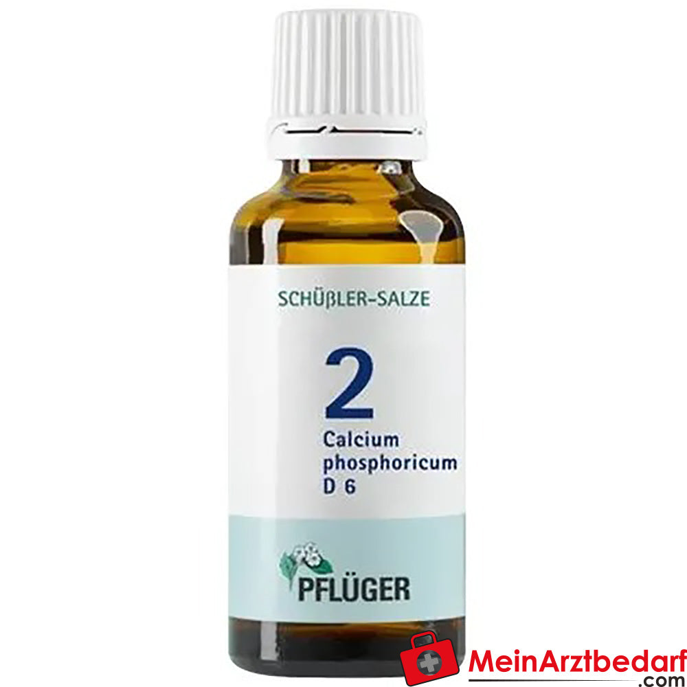 Biochemie Pflüger® Nr. 2 Calcium phosphoricum D6 Tropfen.