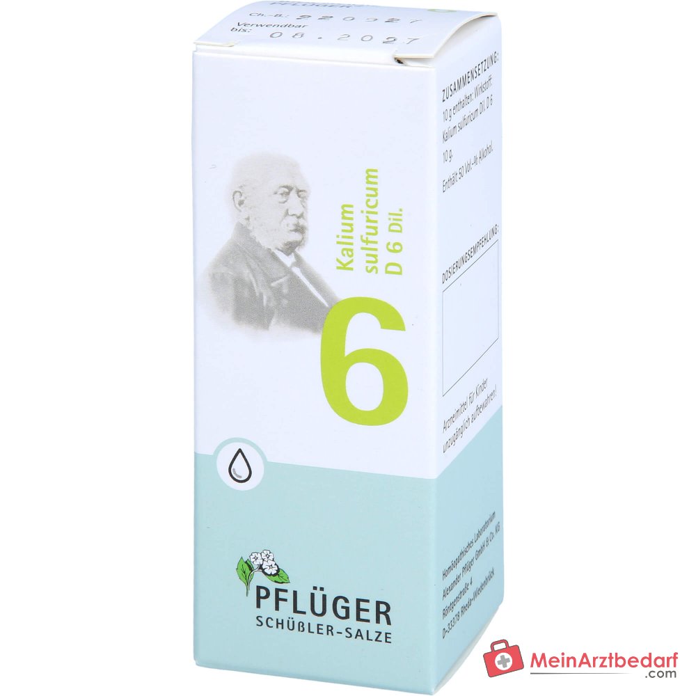 Biochemie Pflüger Nr. 6 Kaliumsulfuricum D6 1000 mg druppels verpakking