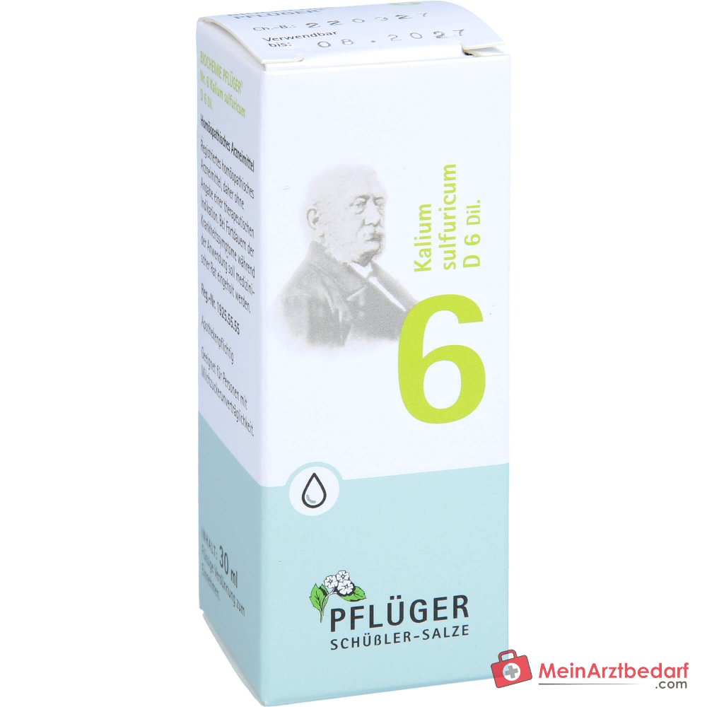 Biochemie Pflüger Nr. 6 Kaliumsulfuricum D6 1000 mg druppels verpakking