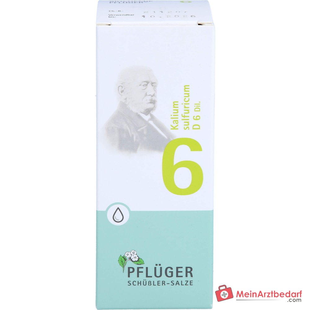Biochemie Pflüger Nr. 6 Kaliumsulfuricum D6 1000 mg druppels verpakking