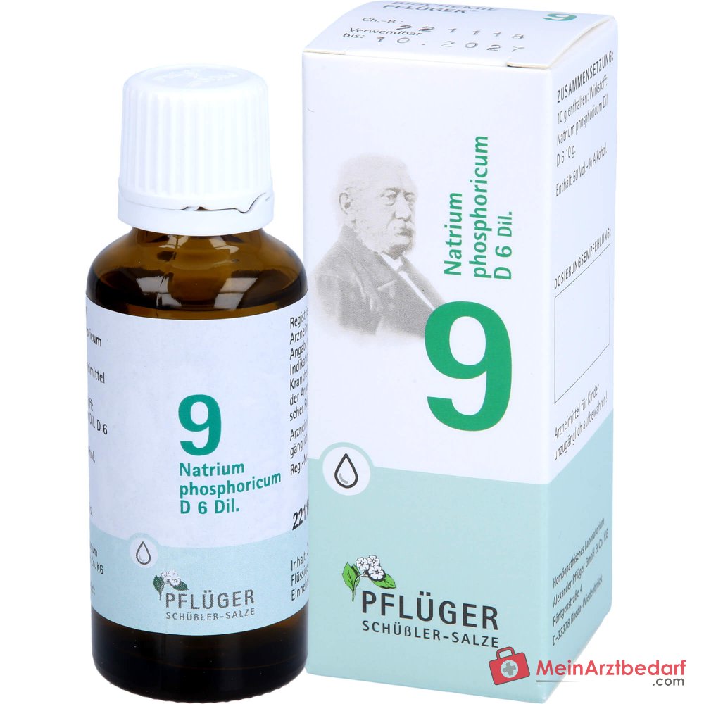 Biochemie Pflüger Nr. 9 Natrium phosphoricum D6 Tropfen 10 ml