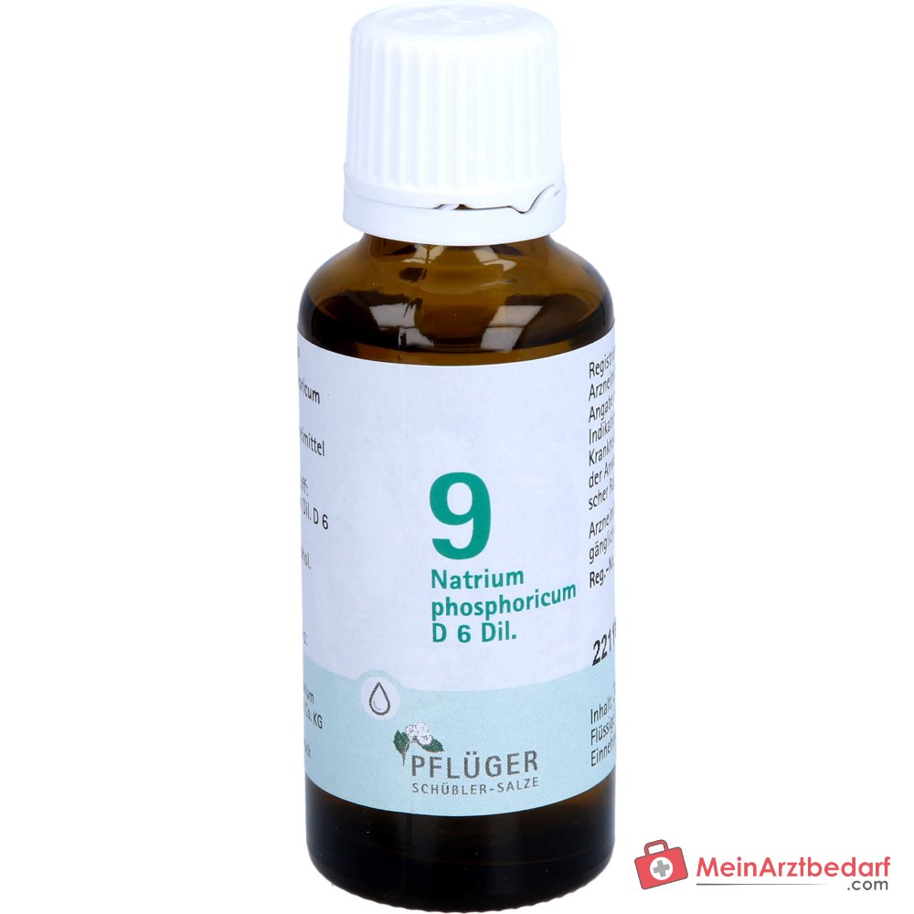 Biochemie Pflüger Nr. 9 Natrium phosphoricum D6 Tropfen 10 ml