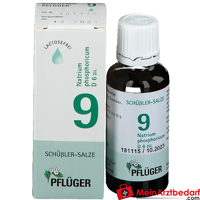 Biochemie Pflüger® No. 9 Natrium phosphoricum D6 damla