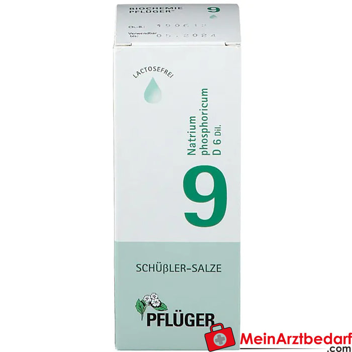 Biochemie Pflüger® N° 9 Natrium phosphoricum D6 gouttes