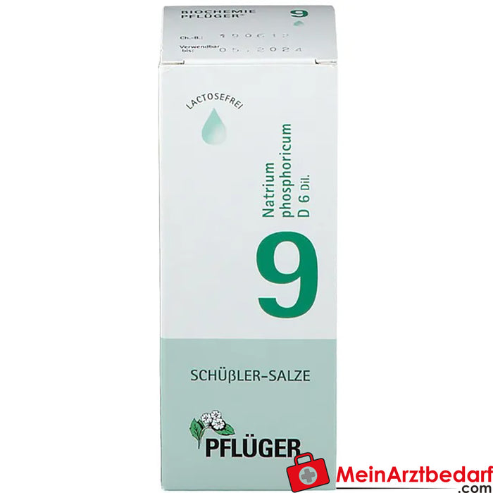 Biochemie Pflüger® Nr. 9 Natrium phosphoricum D6 druppels