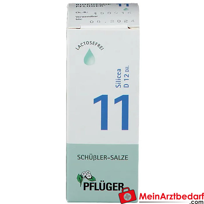 Biochemie Pflüger® Nr. 11 Silicea D12 Druppels