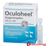 Oculoheel Augen ad us vet, 20 St