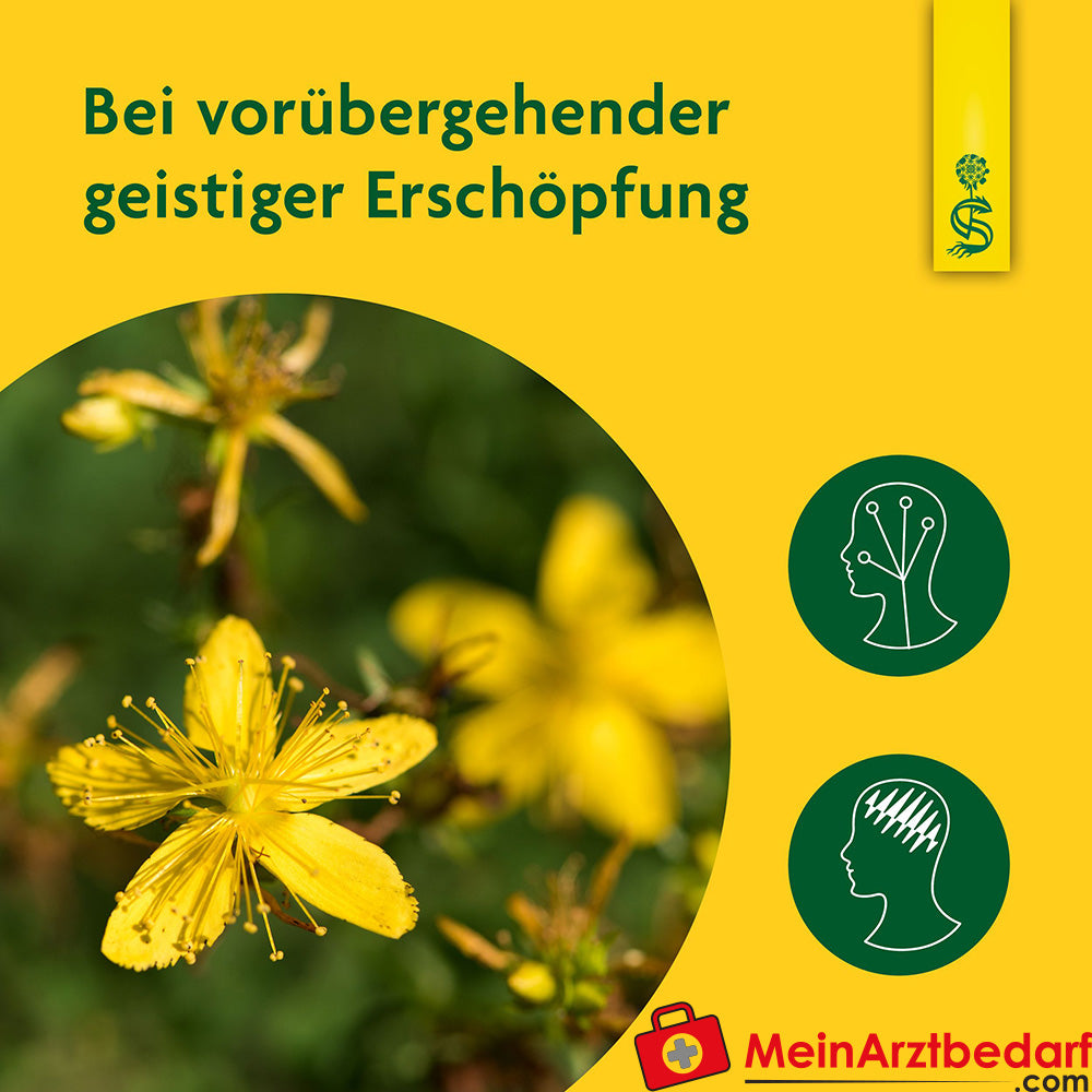 Schoenenberger Natuurlijke Heilzame Planten Sap Sint-Janskruid bij Zenuwzwakte & Nervositeit, 200 ml