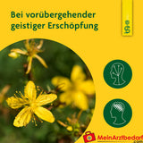 Schoenenberger Natuurlijke Heilzame Planten Sap Sint-Janskruid bij Zenuwzwakte & Nervositeit, 200 ml