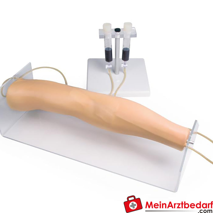 Erler Zimmer Training arm for intravenous injection